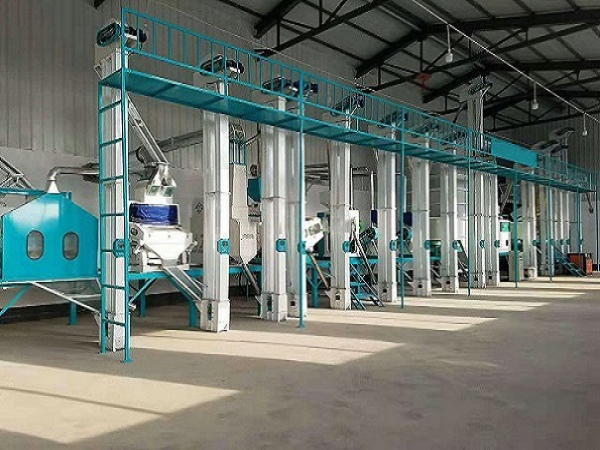 河北日產50噸大米草莓视频在线观看安裝完成(圖)