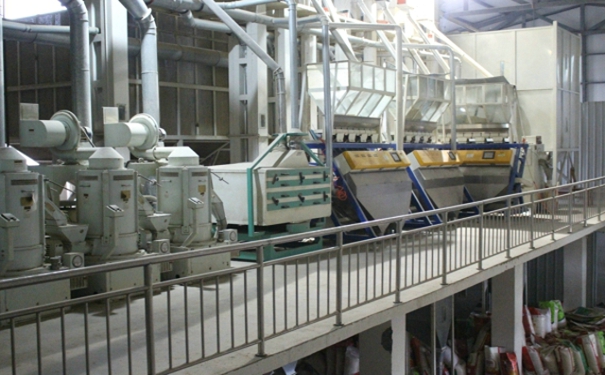 大米加工機械價格多少?其運行中要注意的事項又有哪些?