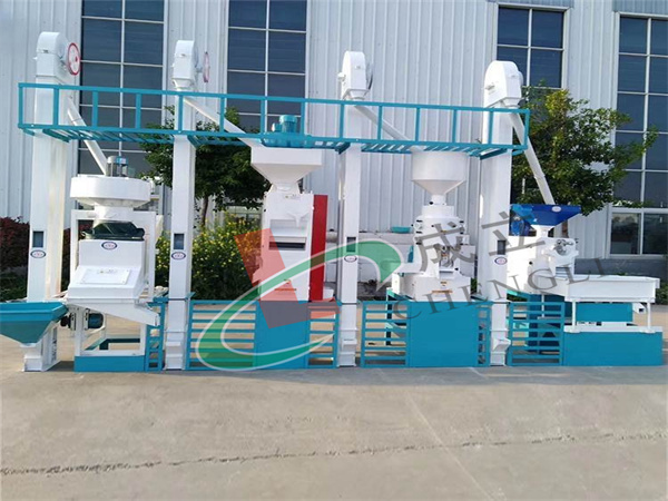 20噸大米草莓视频在线观看