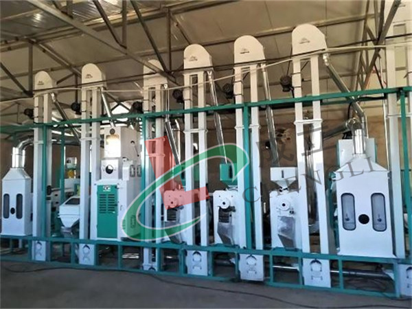 40噸級大米草莓视频在线观看