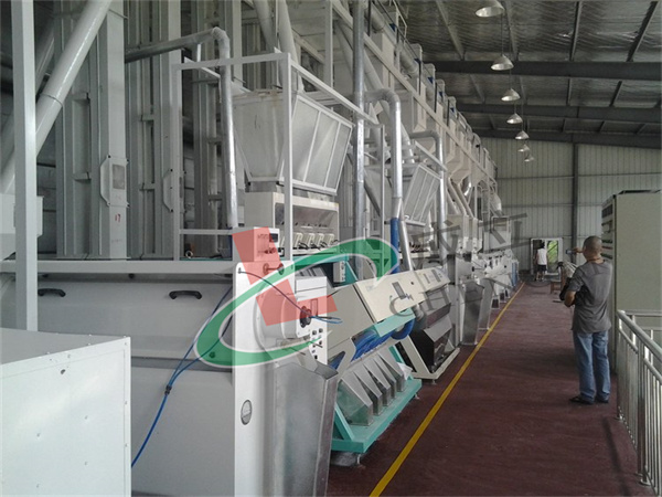 200噸級大米草莓视频在线观看